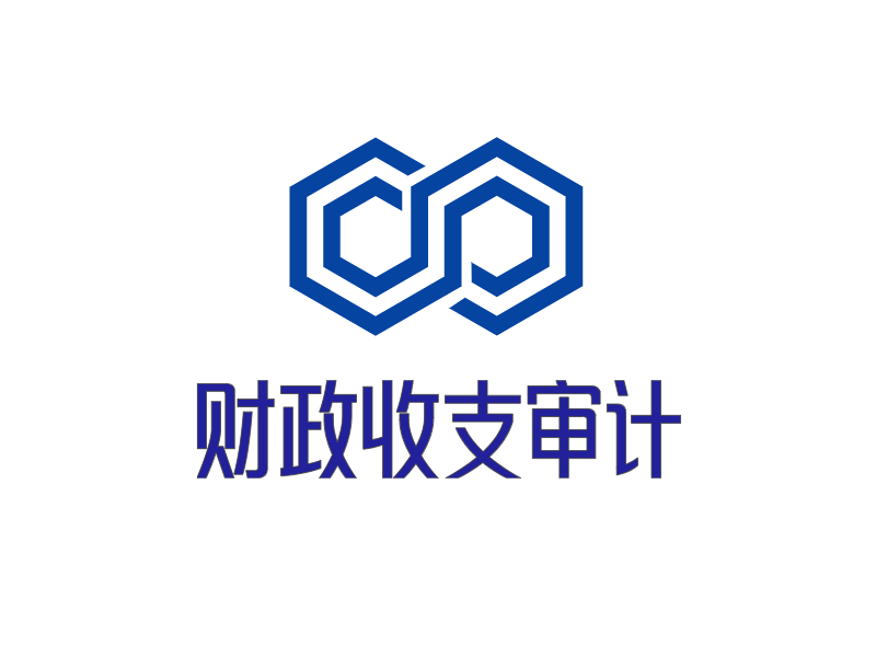 财政收支审计